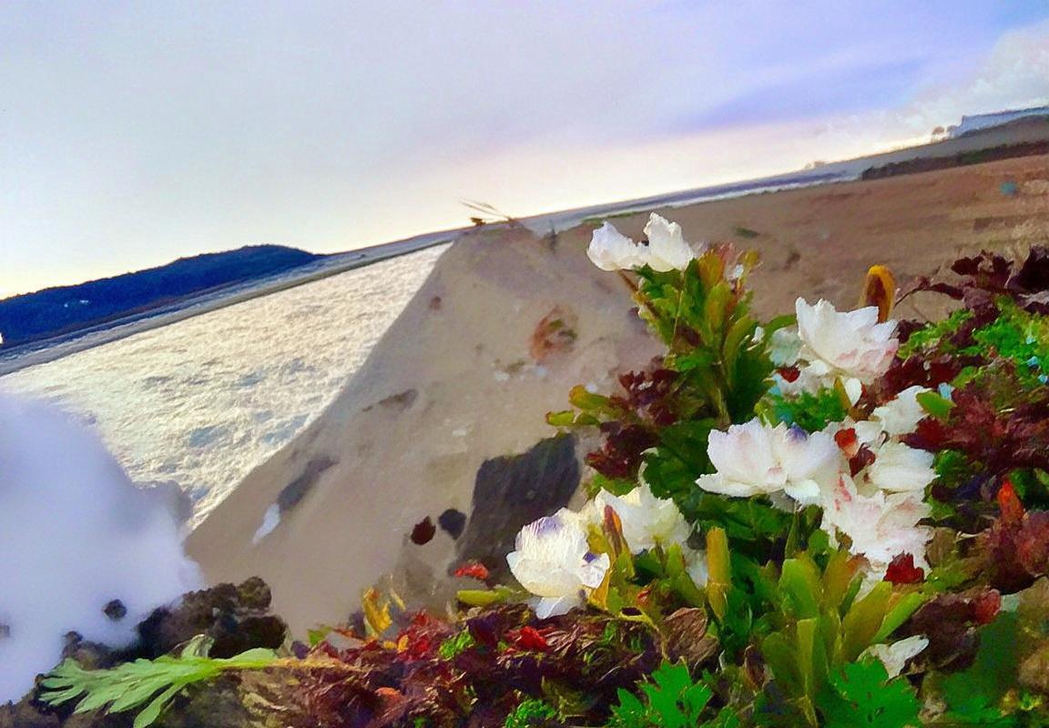 拜仁慕尼黑逆转皇马，欧冠巅峰对决精彩回顾(图2)